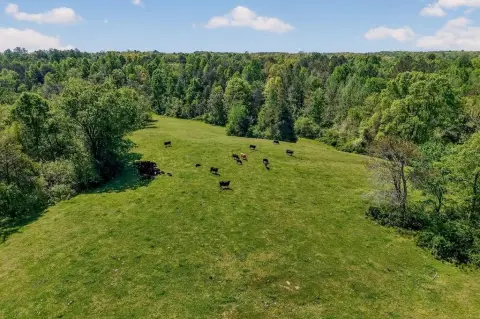 100+ Acre Farm in Smithville