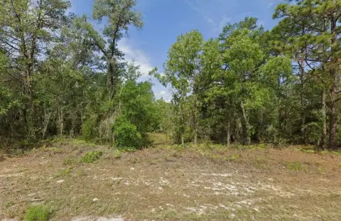 Vacant Land in Growing Area