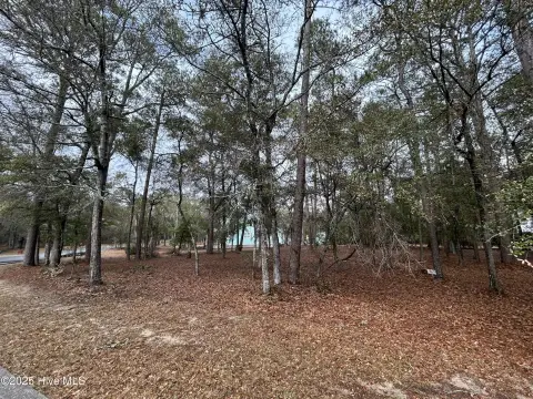 Wooded Homesite in Planned Community