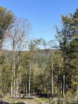 Wooded Recreation Land with Stream