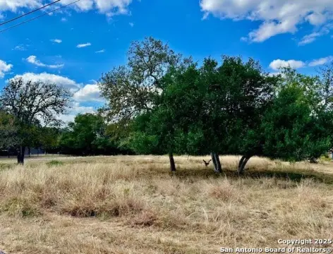 Spacious Lot in San Antonio