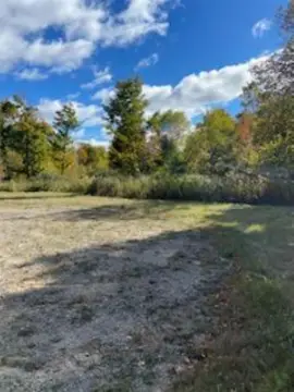 Wooded 80 Acres on Private Road