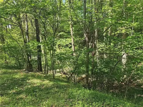 Two Wooded Lots in Wilkesboro