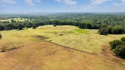 Rolling Agricultural Land with Creek