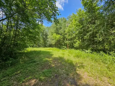Recreational Land with Creek