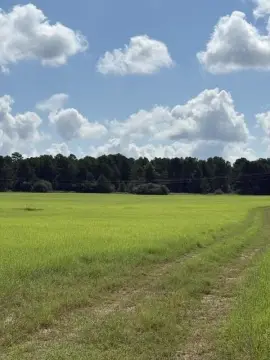 Agricultural Land with Hay Fields