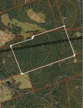 Wooded Hunting Land