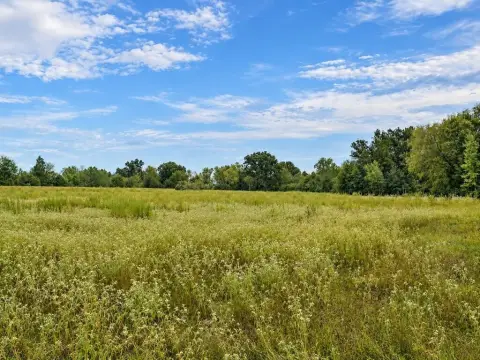 Wooded Hunting Land with Pond