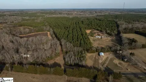 85 Acres Untamed Opportunity Abbeville