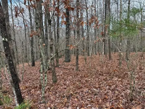 Wooded Lot in Quiet Setting