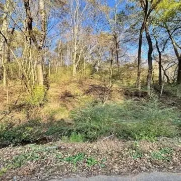 Residential Land in Florence, AL