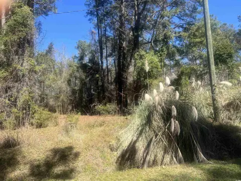 Conway Acreage for Residential Development