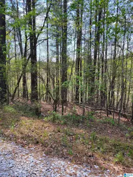 Protected Cove Waterfront Land