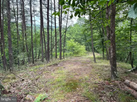 Recreation Land with River Access