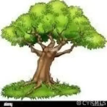 Land in Ford, Virginia