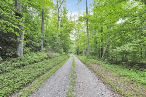 Wooded Land with Trail System