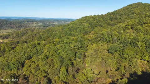Wooded Timber & Hunting Tract