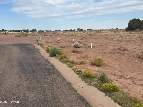 40 Acres of Land, Snowflake