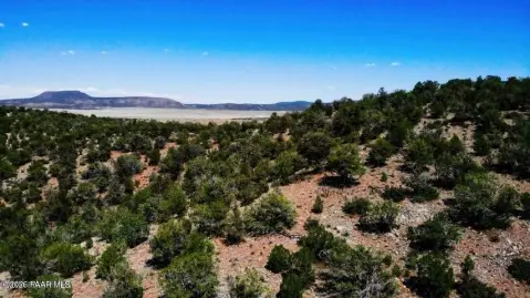 Seligman, AZ Mountain Top Land