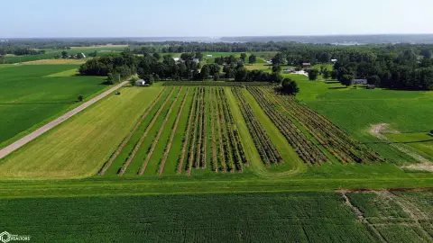 Vineyard Land with Street Frontage
