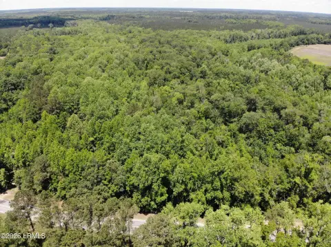 Hunting Land Along Jackson Branch