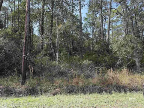 Dauphin Island Wooded Residential Lot