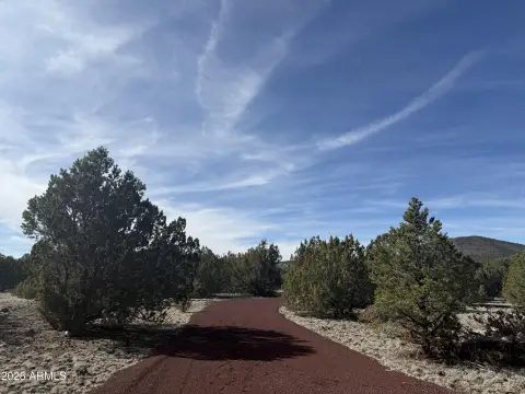 Land with Power in Williams