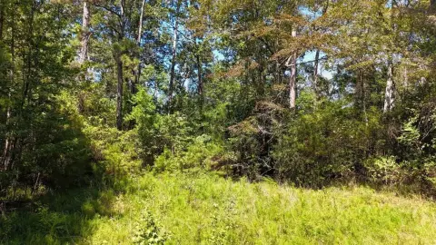 Recreational Land