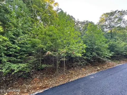 Wooded Lot in Gated Community