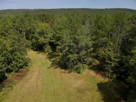 Alabama Hunting and Recreation Ranch