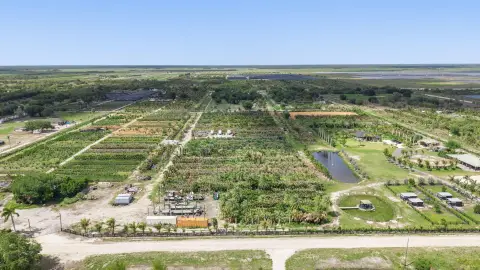Productive Agricultural Land in Loxahatchee