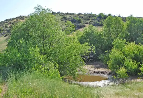 Recreation Land with Spring