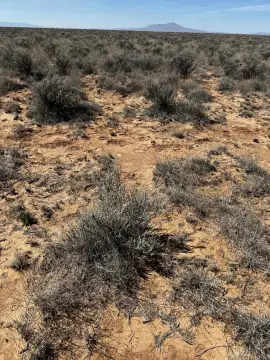 Land For Sale, Belen, NM