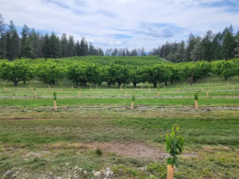 Cherry Orchard Agricultural Land