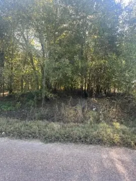Residential Land in Terrell, Texas