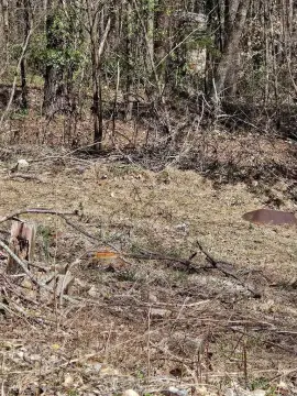 Unrestricted Lot Near Lake