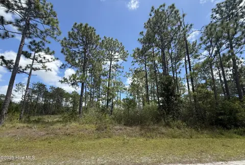 Land in Boiling Spring Lakes