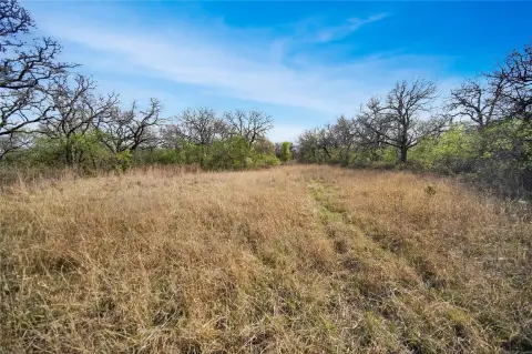 Wooded Hunting Land