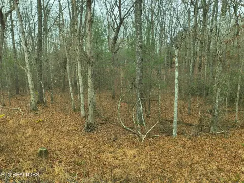 Lake Tansi Double Lot