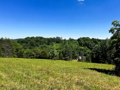 Unrestricted Acreage with Creek