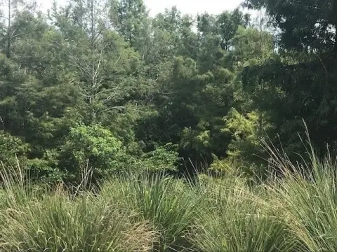 Land Near Falls Creek Falls