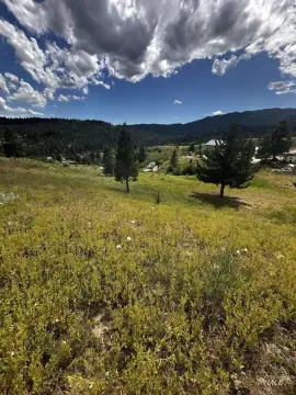 Recreation Land with Drilled Well