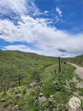 Recreational Hunting Land