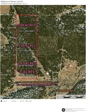 26.7 Acres of Forest Land