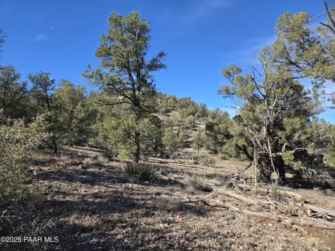 Secluded Land in Ash Fork