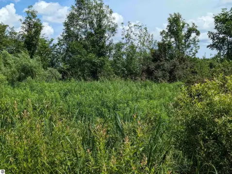 Wooded Hunting Land For Sale