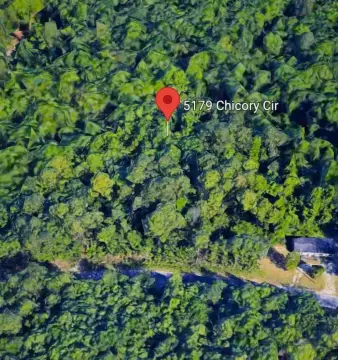 Clay County Buildable Lot