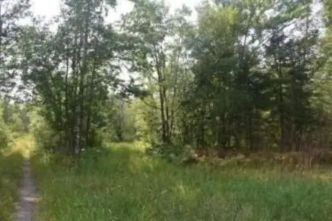 Hunting Land with Trails