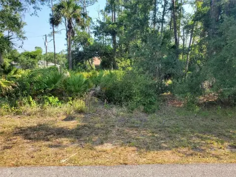 Vacant Land in Port Charlotte