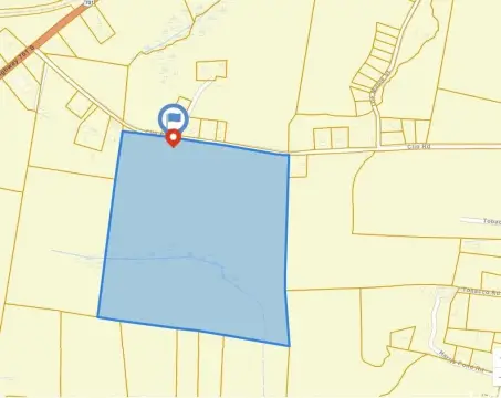 92.88 Acres in Loris, SC